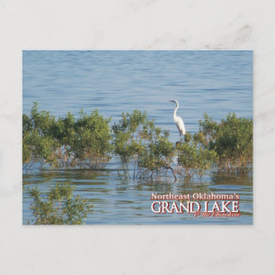 Grand Lake Oklahoma Postkarte Egret