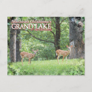 Grand Lake Oklahoma Postkarte Hirsch