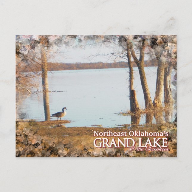 Grand Lake Oklahoma Postkartenegret Postkarte (Vorderseite)