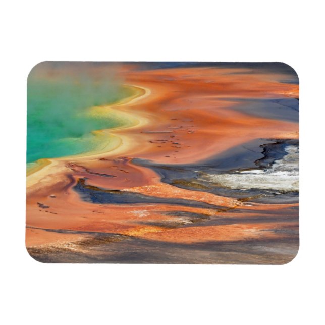 Grand Prisma Spring Running Magnet (Horizontal)