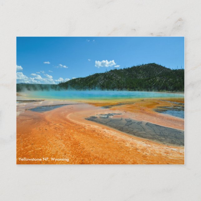 Grand Prismatic Spring in Yellowstone NP Postkarte (Vorderseite)