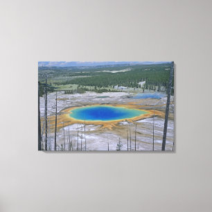 Grand Prismatic Spring, Yellowstone Nationalpark, Leinwanddruck