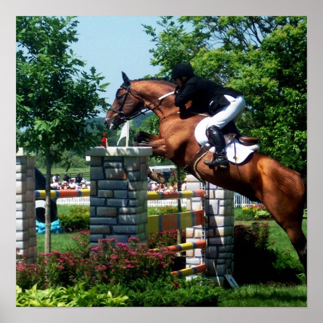 Grand Prix Horse Poster (Vorne)