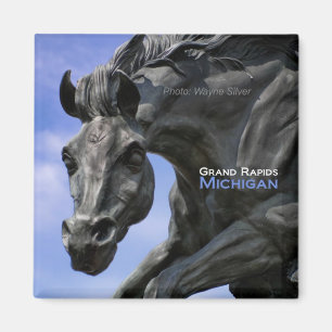 Grand Rapids Michigan Magnet ReiseSouvenir