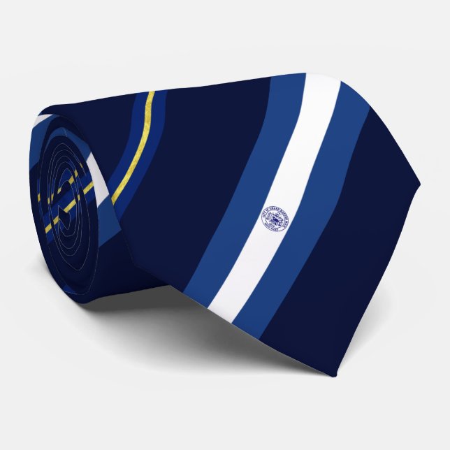 Grand Rapids (Michigan) Stadtflagge Neck Tie Krawatte (Gerollt)