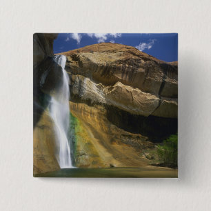 GRAND STAIRCASE-ESCALANTE NATIONAL MONUMENT, BUTTON