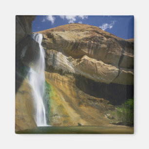 GRAND STRECKE ESCALANTE NATIONAL MONUMENT, MAGNET