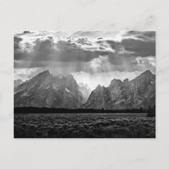 Grand Teton Mountain Range in Schwarz und Weiß Postkarte (Vorderseite)