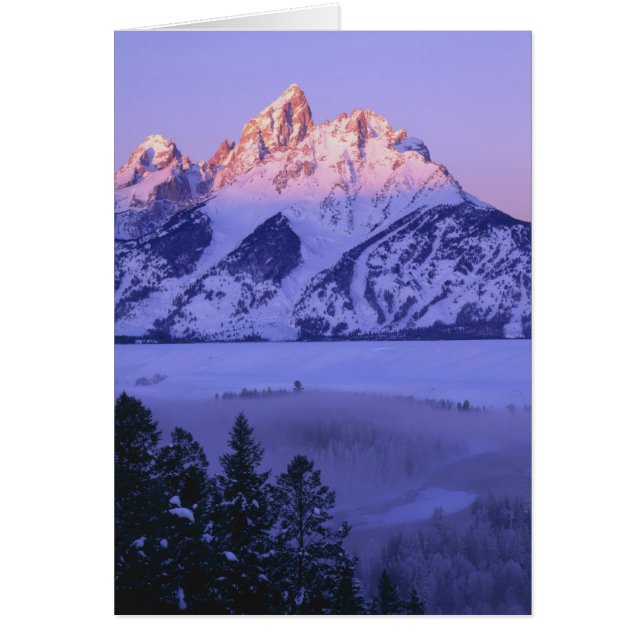 GRAND TETON NATIONAL PARK, WOHNEN. USA. Nebel & (Vorne)