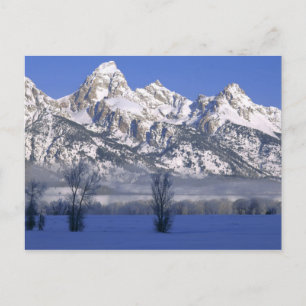 GRAND TETON NATIONAL PARK, WOHNEN. USA. Nebel & Postkarte