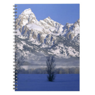 GRAND TETON NATIONAL PARK, WYOMING. USA. Nebel & Notizblock