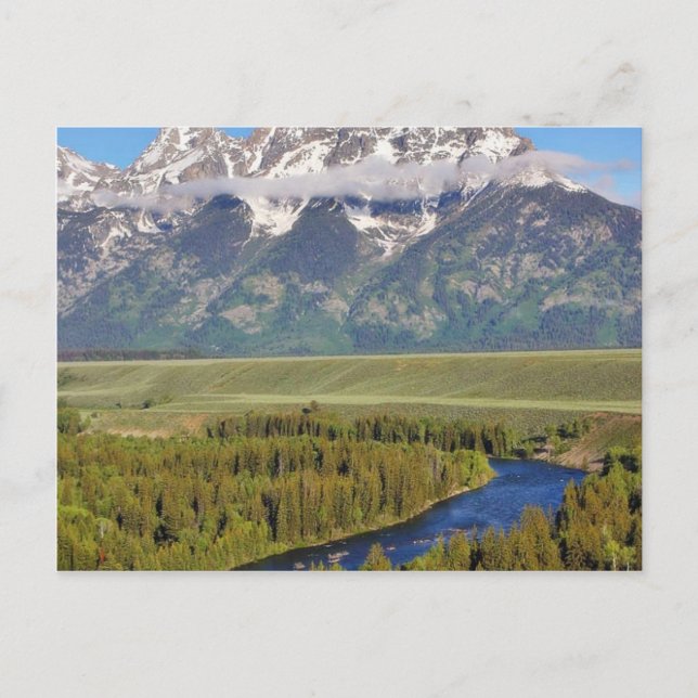 Grand Teton Nationalpark 3 Postkarte (Vorderseite)