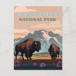 Grand Teton Nationalpark Jackson Wyoming Mountain Postkarte