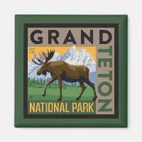 Grand Teton Nationalpark Moose