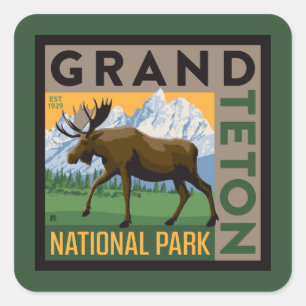 Grand Teton Nationalpark Moose Quadratischer Aufkleber