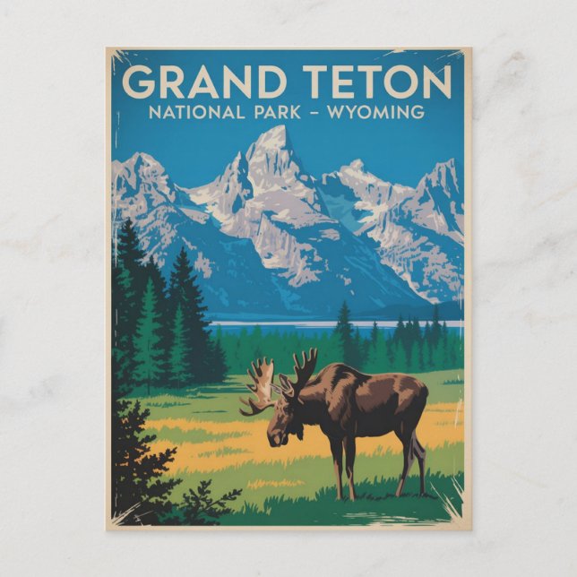 Grand Teton Nationalpark Moose Vintage Postkarte (Vorderseite)