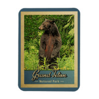 Grand Teton Nationalpark Vintag Bear