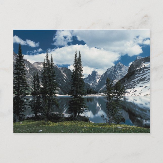 Grand Teton Nationalpark , Wyoming Postkarte (Vorderseite)