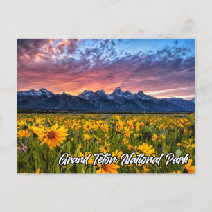 Grand Teton Nationalpark, Wyoming Postkarte