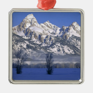 GRAND-TETON-NATIONALPARK, WYOMING. USA. Nebel & Ornament Aus Metall