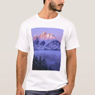 GRAND TETON NATIONALPARK, WYOMING. USA. Nebel & T-Shirt