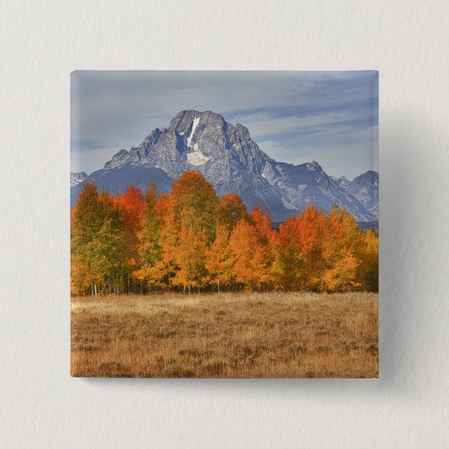 Grand Teton NP, Mount Moran und Aspen-Bäume Button (Vorderseite)