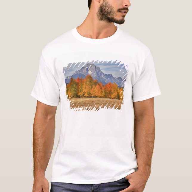 Grand Teton NP, Mount Moran und Aspen T-Shirt (Vorderseite)