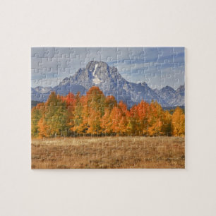 Grand Teton NP, Mount Moran und Espen Puzzle