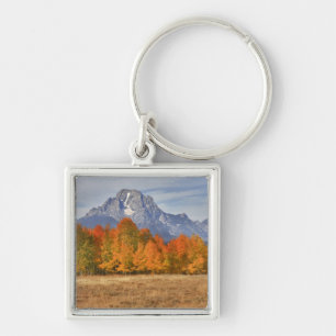 Grand Teton NP, Mount Moran und Espen Schlüsselanhänger