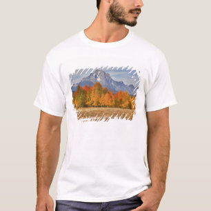 Grand Teton NP, Mount Moran und Espen T-Shirt