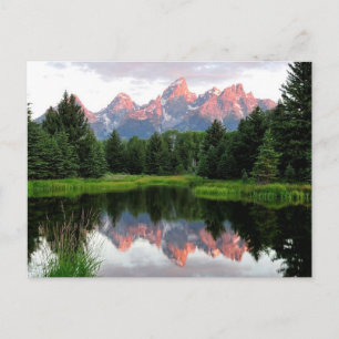 Grand Teton Reflections Over the Beaver Pond Postkarte