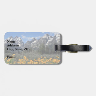 Grand Teton Springtime Souvenir Foto Gepäckanhänger