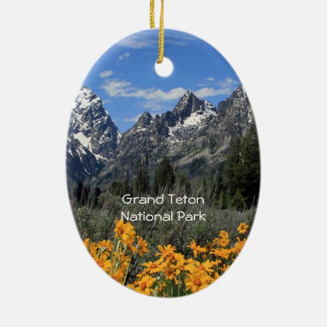 Grand Teton Springtime Souvenir Foto Keramik Ornament (Hinten)
