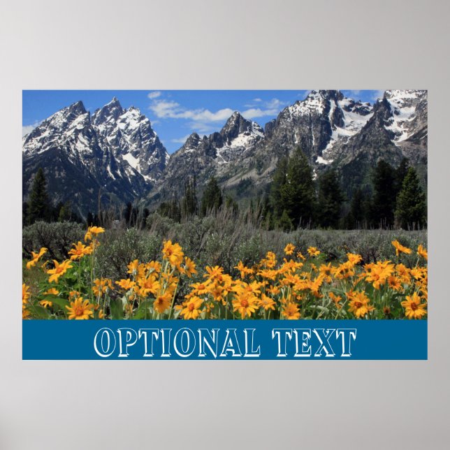 Grand Teton Springtime Souvenir Foto Poster (Vorne)