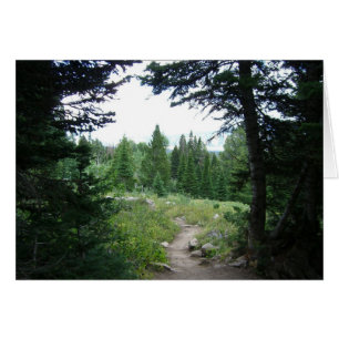 Grand Teton Trail