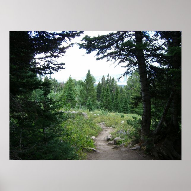 Grand Teton Trail Poster (Vorne)