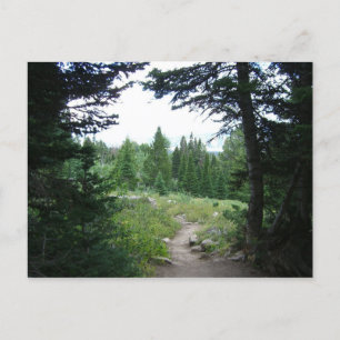Grand Teton Trail Postkarte