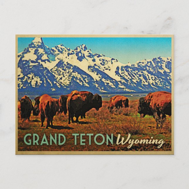 Grand Teton Wyoming Buffalo Postkarte (Vorderseite)
