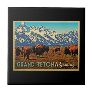 Grand Teton Wyoming Büffel Fliese