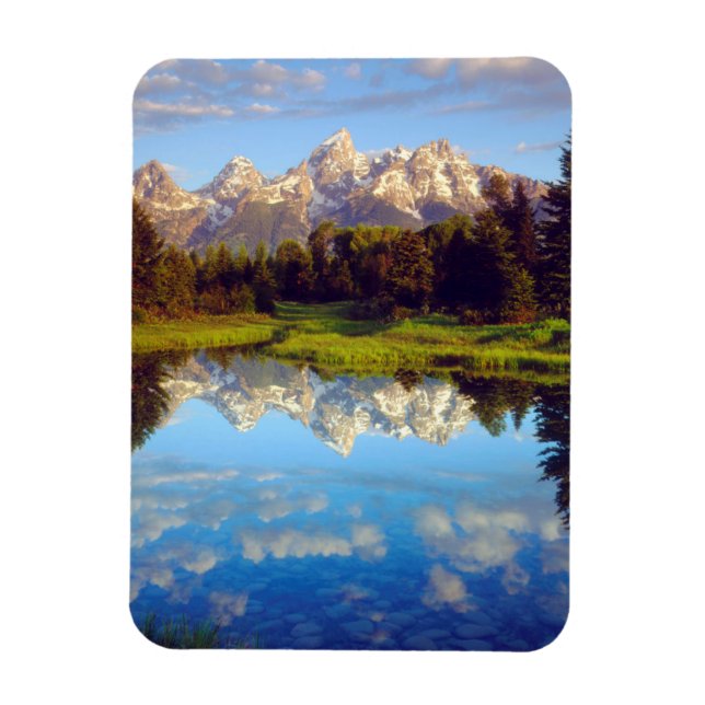 Grand Tetons, die im Snake River reflektieren Magnet (Vertikal)