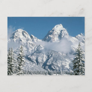 Grand Tetons im Winter Postkarte