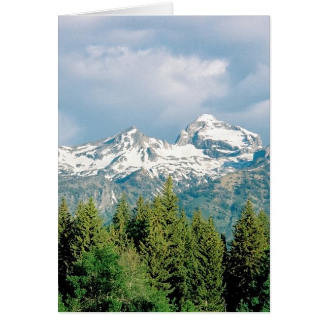 Grand Tetons Park (Vorne)