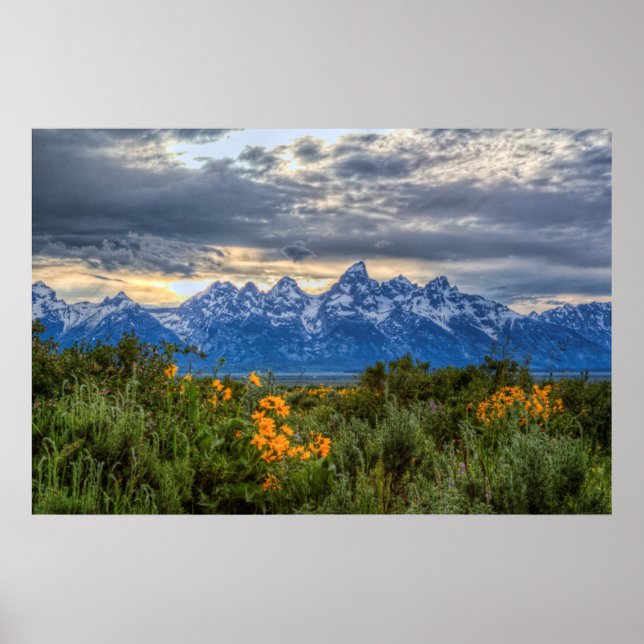 Grand Tetons Poster (Vorne)