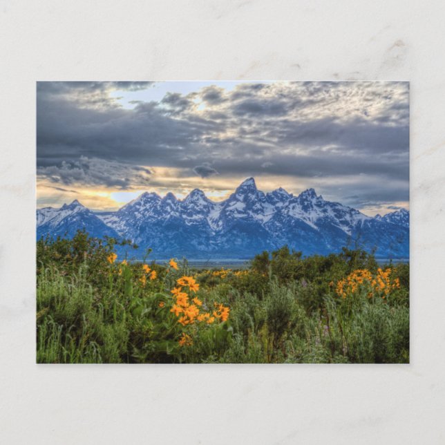Grand Tetons Postkarte (Vorderseite)