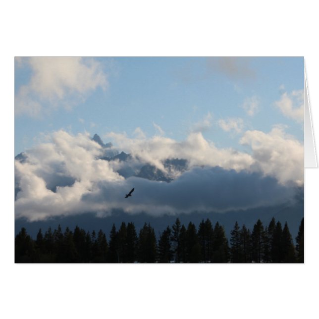 Grand Tetons und Habicht (Vorderseite (Horizontal))