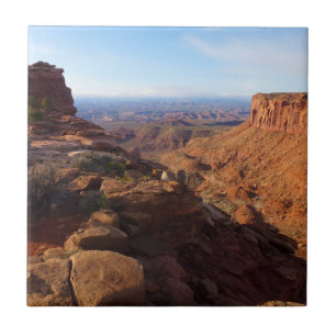 Grand View Point im Canyonlands National Park Fliese