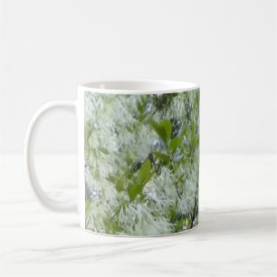 Grandaddy Graybeard-Baum-Tasse Tasse