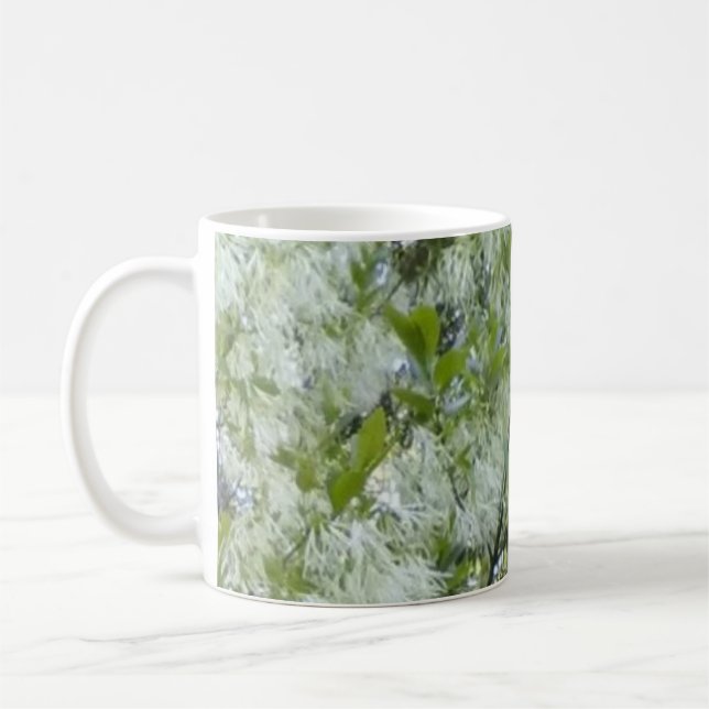 Grandaddy Graybeard-Baum-Tasse Tasse (Links)