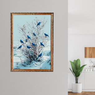 Grandalasvögel sammeln sich im Winter Poster