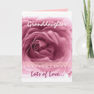 GRANDAUGHTER Valentinstag - rosa Rose & Spitzen Feiertagskarte